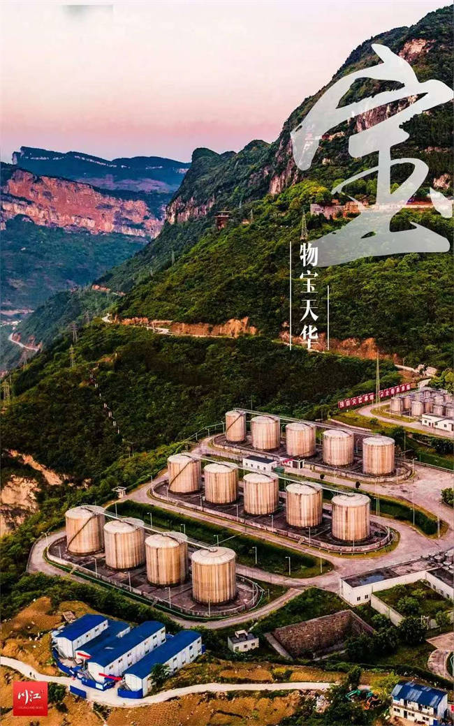 一杯千年酒，半部山河志——《天命酒章》里的文化根、自然魂与时代痛